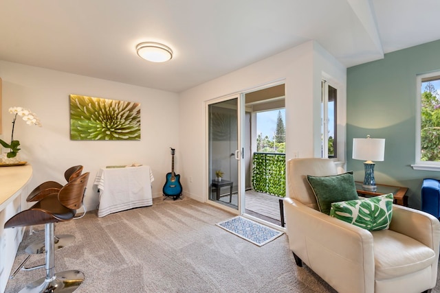 living area featuring carpet floors