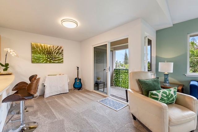 139 Punohu Ln Unit 10-8, Lahaina, HI 96790 - living area featuring carpet floors and baseboards