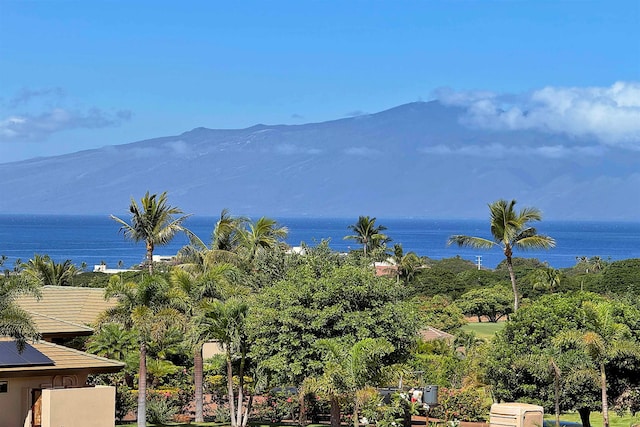 Listing photo 3 for 45 Lolii Pl Unit 37, Lahaina HI 96761