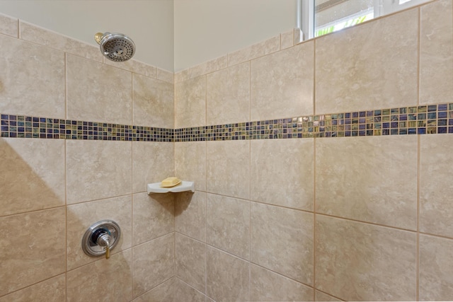 room details with tiled shower