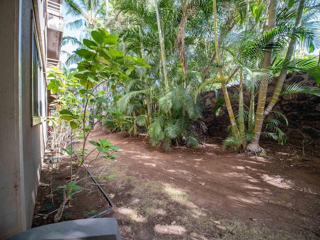 2747 S Kihei Rd Unit C004, Kihei, HI 96753 - view of yard