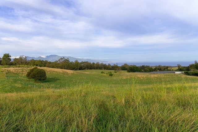 view of landscape featuring a mountain view and a rural view
