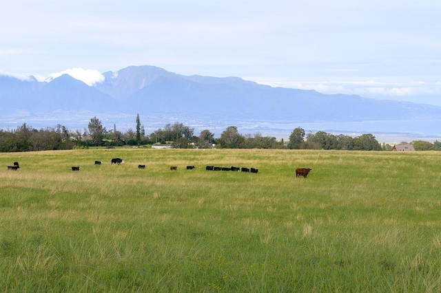 property view of mountains with a rural view