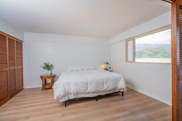 bedroom featuring a closet and light hardwood / wood-style floors