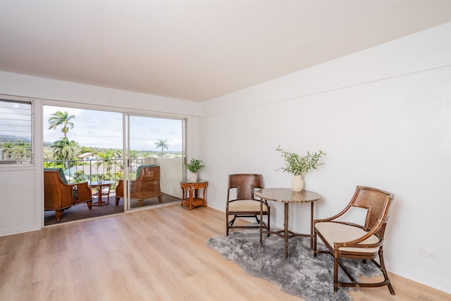 living area with light hardwood / wood-style floors