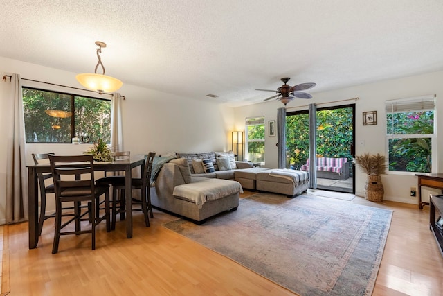 living area featuring light wood finished floors, visible vents, a ceiling fan, and a textured ceiling