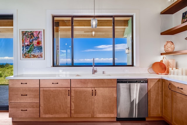 kitchen with plenty of natural light, wood-type flooring, sink, and stainless steel dishwasher