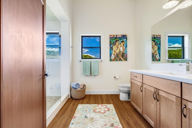 bathroom with wood-type flooring, vanity, and toilet