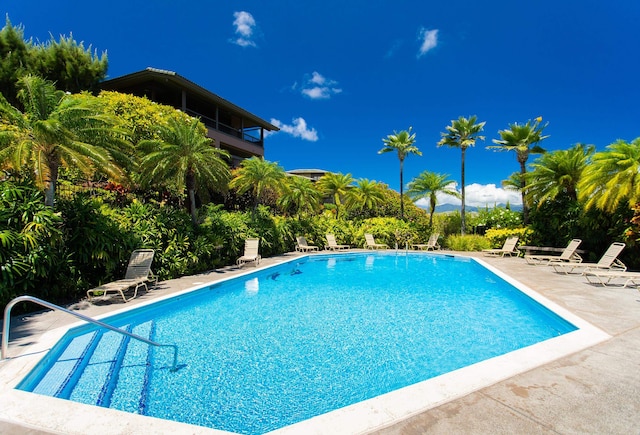 view of swimming pool with a patio area