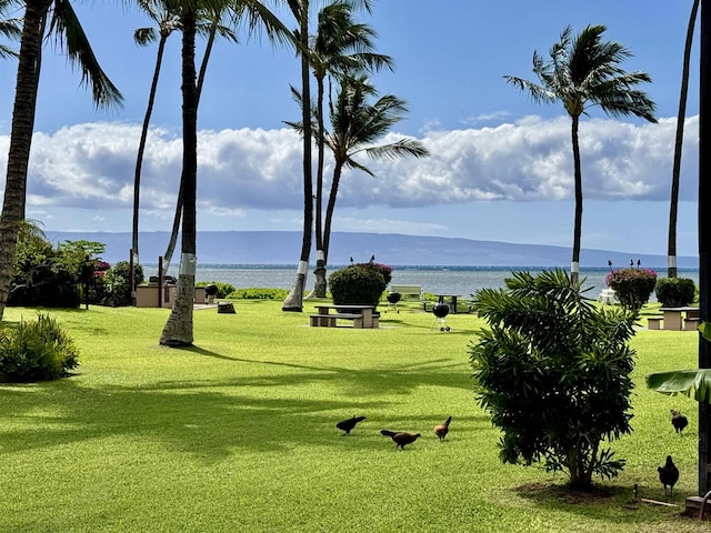 view of community with a water view and a lawn