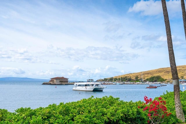 30 Hauoli St Unit 212, Wailuku, HI 96793 - water view