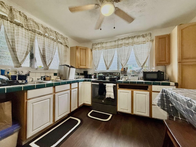 kitchen featuring sink, light brown cabinetry, black appliances, dark hardwood / wood-style flooring, and tile countertops