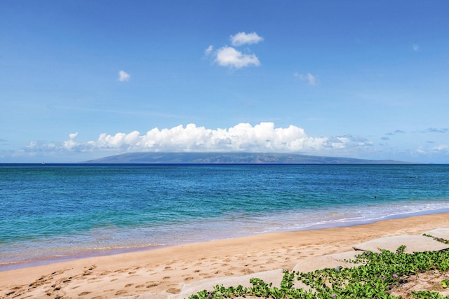 view of water feature with a beach view