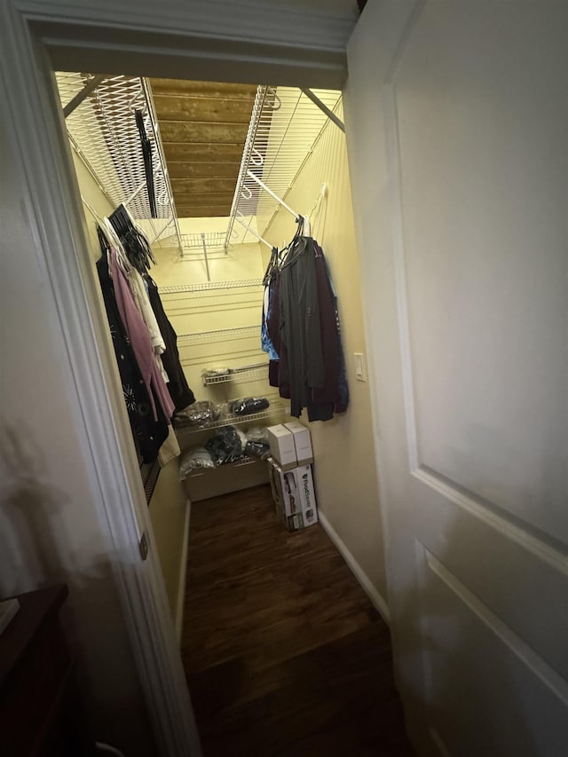 spacious closet featuring wood finished floors