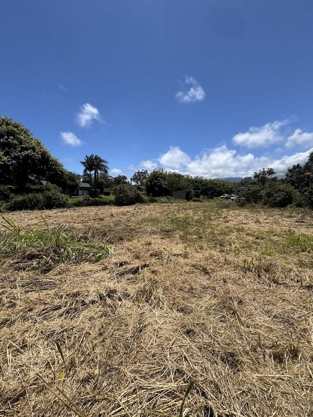 view of local wilderness featuring a rural view