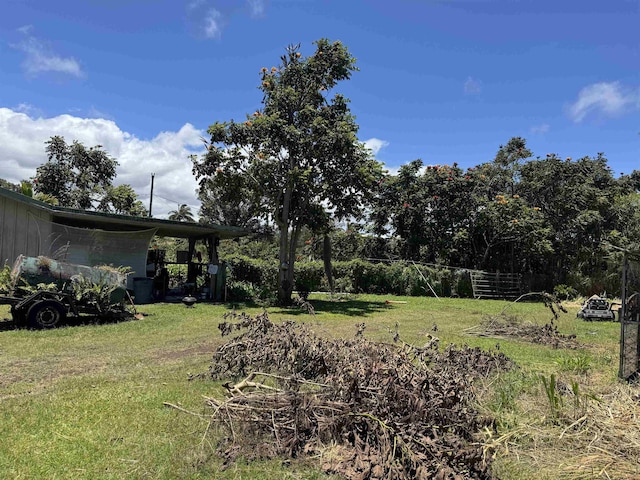 view of yard