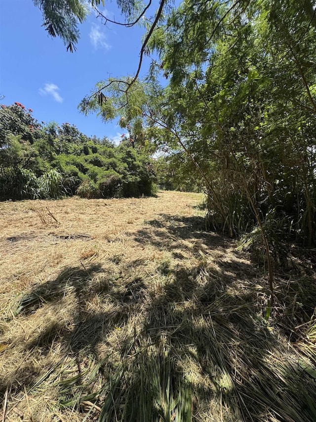 80 Alekanekelo Pl, Haiku, HI 96708 - view of nature