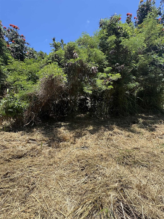 80 Alekanekelo Pl, Haiku, HI 96708 - view of local wilderness