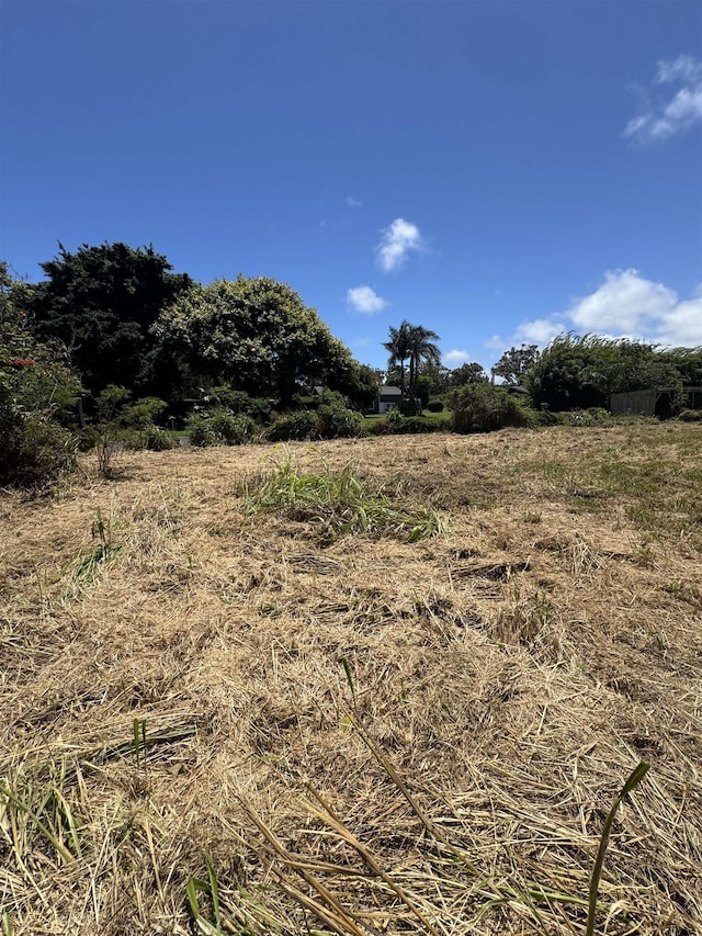 80 Alekanekelo Pl, Haiku, HI 96708 - view of nature with a rural view