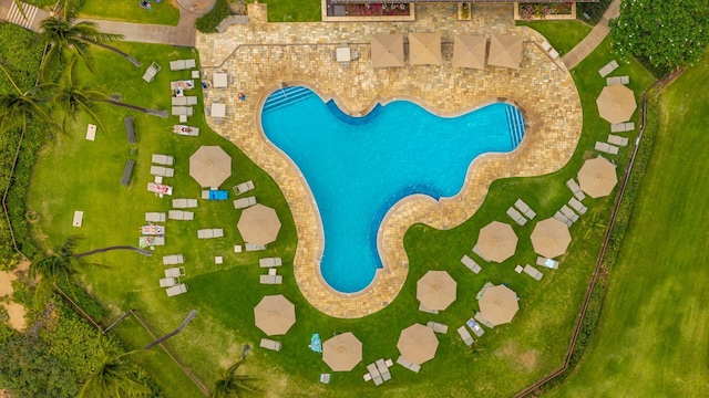 3300 Wailea Alanui Dr Unit 52D, Kihei, HI 96753 - view of swimming pool