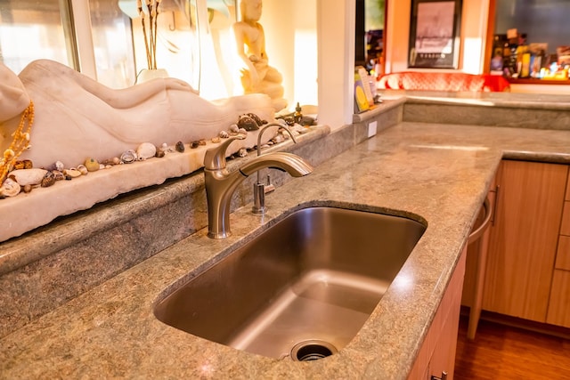 room details with sink and dark hardwood / wood-style floors