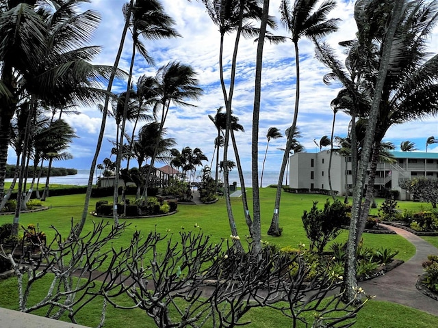 view of community with a water view and a lawn