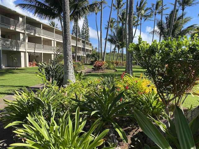 view of property's community with a lawn