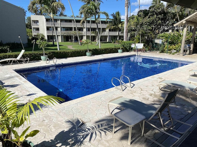 view of swimming pool featuring a patio