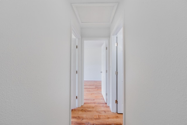 hallway featuring light hardwood / wood-style flooring