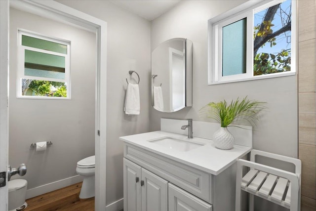 bathroom featuring baseboards, toilet, wood finished floors, and vanity