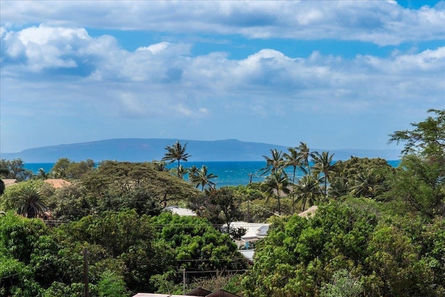 property view of mountains with a water view