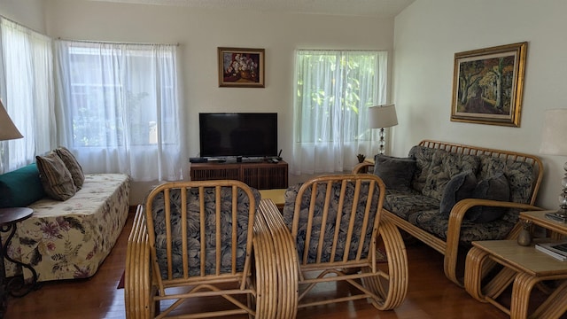 living room featuring wood finished floors and a healthy amount of sunlight