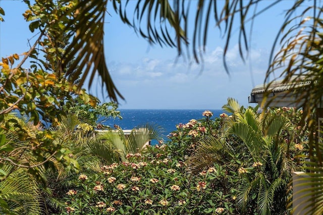 23 Poinciana Rd, Lahaina, HI 96761 - water view