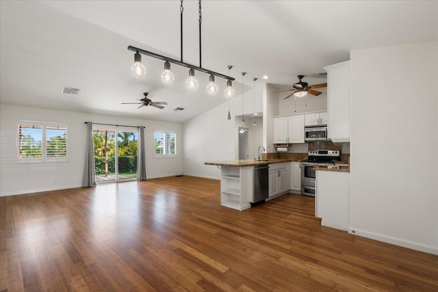 23 Poinciana Rd, Lahaina, HI 96761 - kitchen featuring appliances with stainless steel finishes, ceiling fan, open shelves, open floor plan, and vaulted ceiling