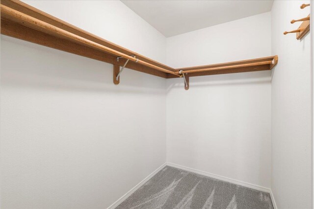 23 Poinciana Rd, Lahaina, HI 96761 - walk in closet featuring carpet