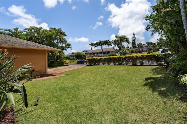 23 Poinciana Rd, Lahaina, HI 96761 - view of green lawn