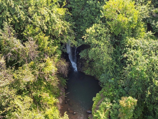 bird's eye view with a wooded view and a water view