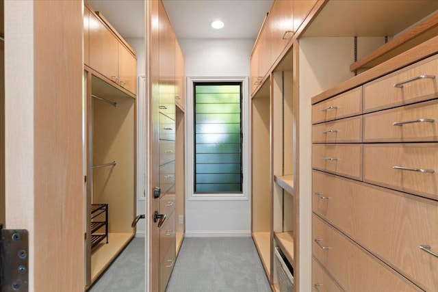 spacious closet featuring light carpet