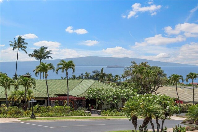 water view with a mountain view