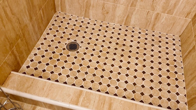 interior details featuring walk in shower