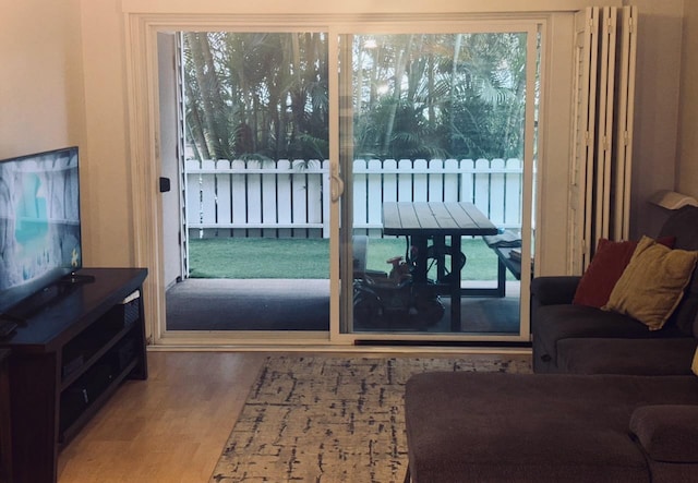 entryway featuring wood-type flooring