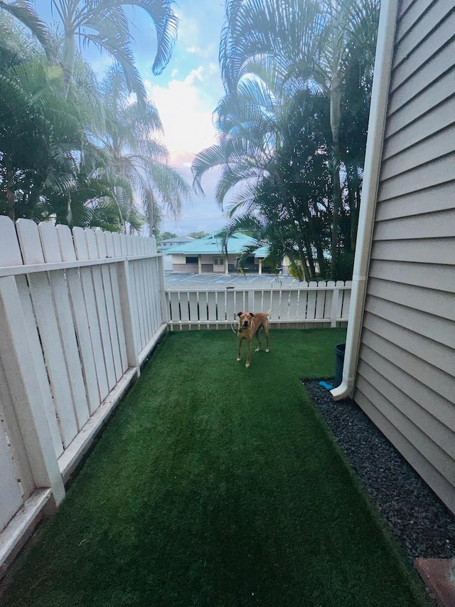 view of yard at dusk