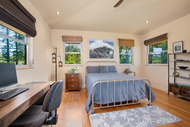 bedroom featuring multiple windows, baseboards, and wood finished floors