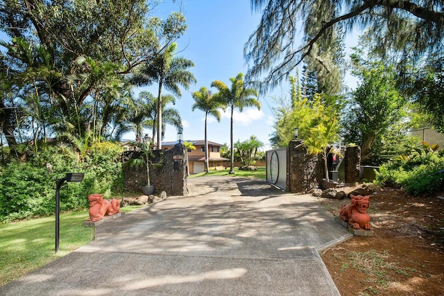 view of road featuring driveway and a gated entry