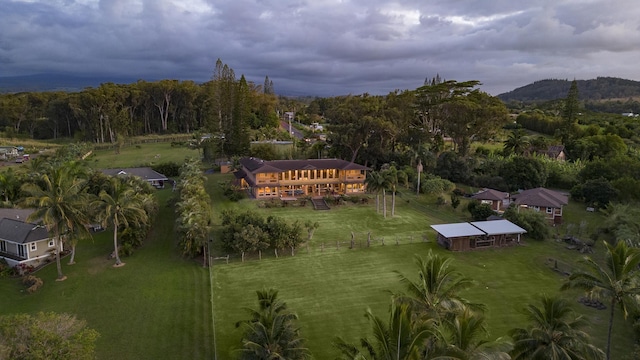 drone / aerial view featuring a mountain view and a wooded view