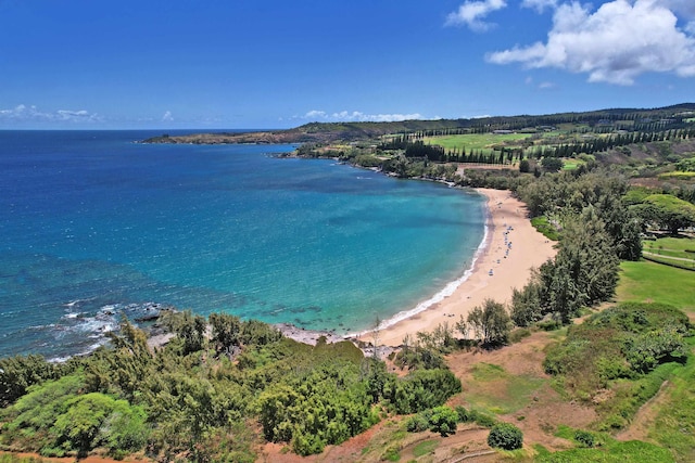 bird's eye view with a water view and a view of the beach