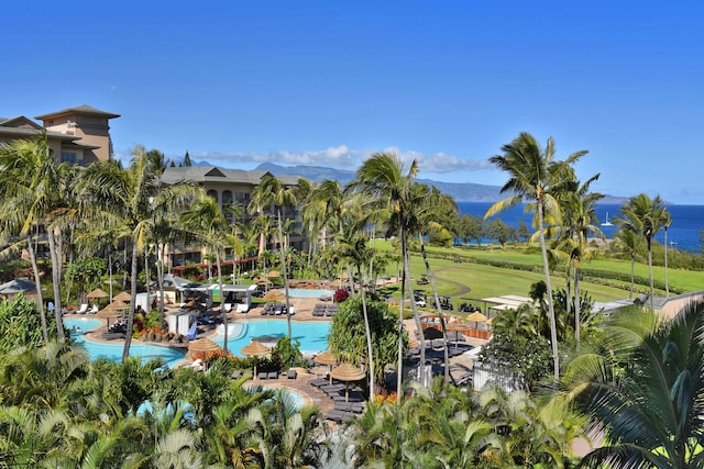 view of property's community with a mountain view and a pool