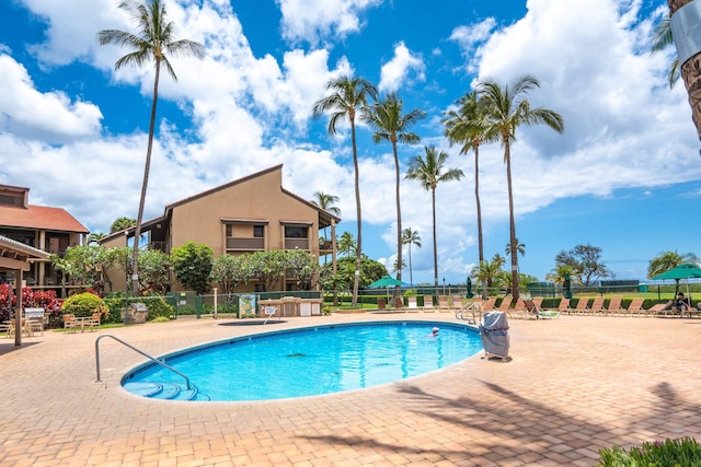 view of pool with a patio area