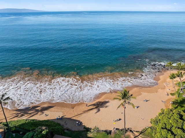 water view featuring a view of the beach