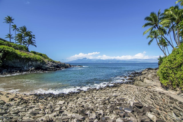 20 Hui Rd I 41, Lahaina, HI 96761 - water view